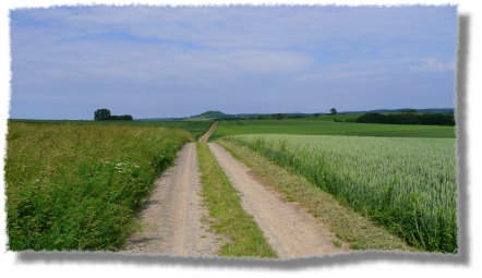 mit dem Trekkingbike zum Otzberg...