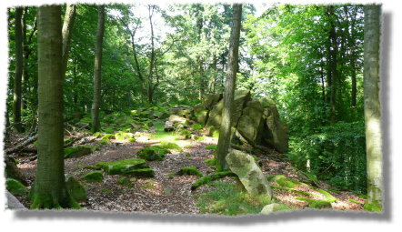 auf dem Rimdidim-Felsen...