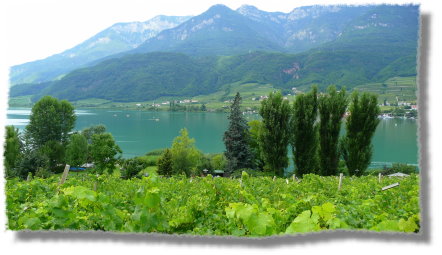 der Kalterer See...
