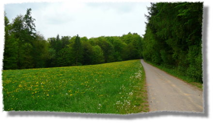 auf der Annelsbacher H�he...