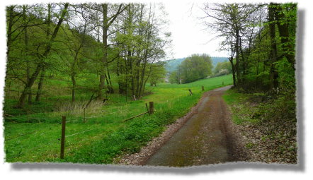 kurz vor M�mling-Grumbach...