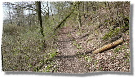 Trail vor M�mling-Grumbach...