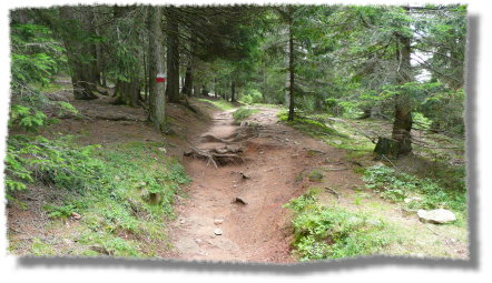 Passage hinter der Wurzeralm...